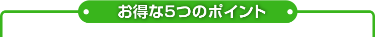 お得な5つのポイント