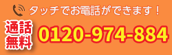 GX-S2400AR パーパス エコジョーズ 据置型標準排気 24号 BL製品 GX-S2400AR パーパス エコジョーズ 据置型標準排気 24号 BL製品